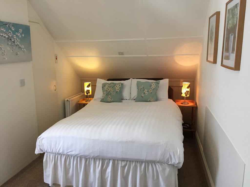 Trewinda Lodge New Quay Exteriör bild
